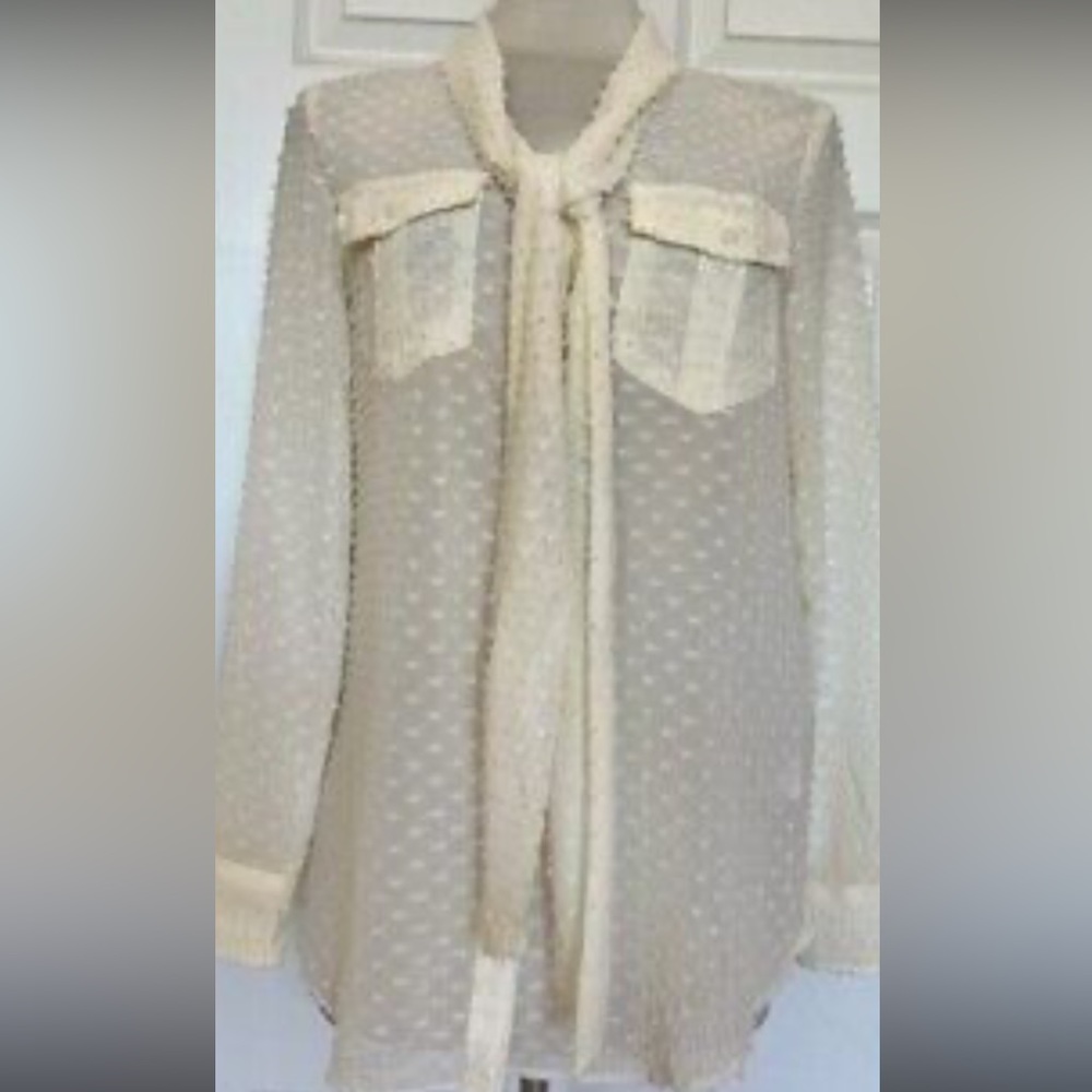 Banana Republic Ivory Swiss Dot Button Blouse with bow (Small, Tall)